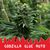 Godzilla Glue Auto, Фасовка: 3